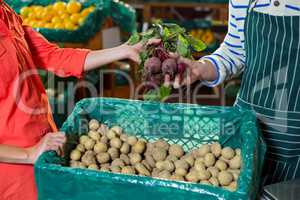 Staff assisting woman in selecting fresh beetroots