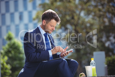 Handsome businessman using mobile phone