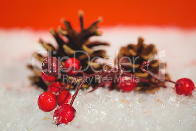 Pine cone and red cherry on snow