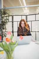Businesswoman using laptop at creative office
