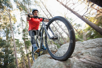 Male mountain biker riding bicycle in the forest