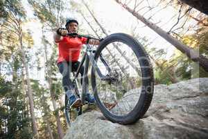 Male mountain biker riding bicycle in the forest