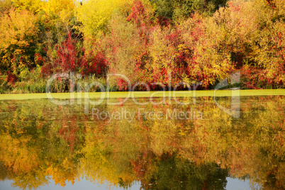 The autumn colors of trees near river, Bila Tserkva, Ukraine