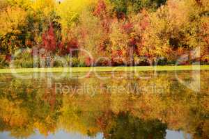 The autumn colors of trees near river, Bila Tserkva, Ukraine