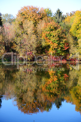 The autumn colors of trees near river, Bila Tserkva, Ukraine