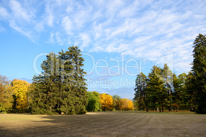 The glade in autumns yellow colors, Olexandria Park, Bila Tserkv