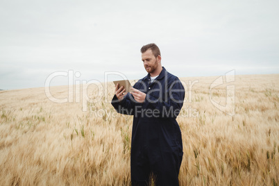 Farmer using digital tablet in the field