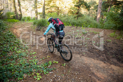 Female mountain biker riding bicycle in the forest