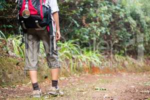 Female hiker walking in forest with backpack