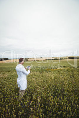 Agronomist using digital tablet in the field