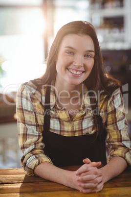 Portrait of waitress standing behind the counter