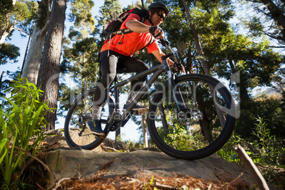 Male mountain biker riding bicycle in the forest