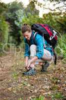Female hiker tying shoelaces in forest