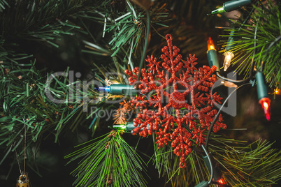 Close-up of snowflake hanging on christmas tree