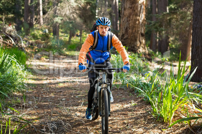 Male mountain biker riding bicycle in the forest