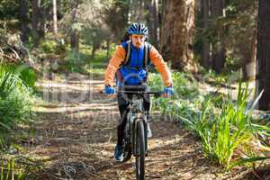 Male mountain biker riding bicycle in the forest