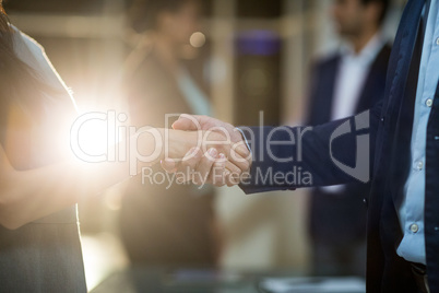 Businessman shaking hands with colleague