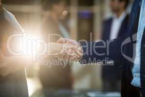 Businessman shaking hands with colleague