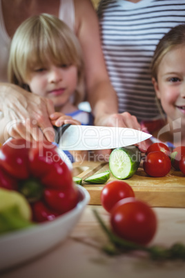 Family chopping vegetables in the kitchen