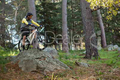 Male mountain biker riding bicycle in the forest