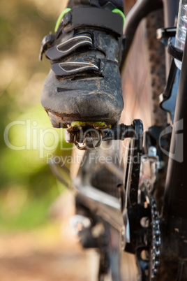 Low section of mountain biker riding bicycle