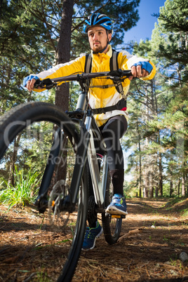 Male mountain biker riding bicycle in the forest