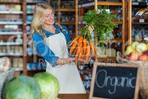 Smiling female staff holding bunch of carrots in organic section