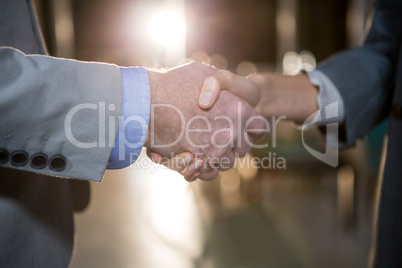 Businessman shaking hands with colleague