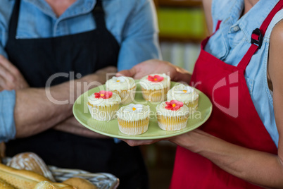 Mid section of female staff holding a plate of cupcakes