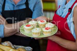 Mid section of female staff holding a plate of cupcakes