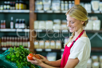 Female staff checking vegetables in organic section