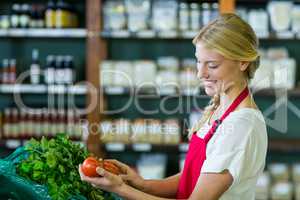 Female staff checking vegetables in organic section