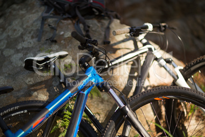 Close-up of mountain bike in forest