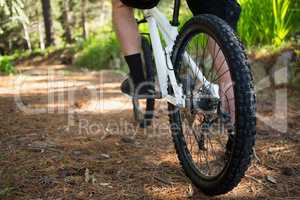 Low section of male mountain biker riding bicycle