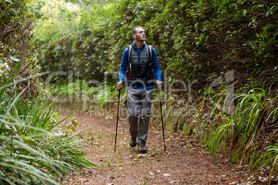 Male hiker walking with hiking pole