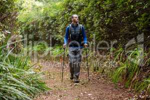 Male hiker walking with hiking pole