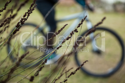 Male mountain biker riding bicycle