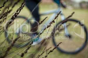 Male mountain biker riding bicycle