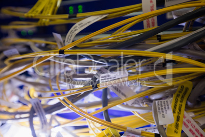 Close-up of connected wires of rack mounted server