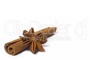 Cinnamon with star anise on white background
