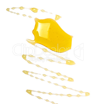 Drips of honey on a white background
