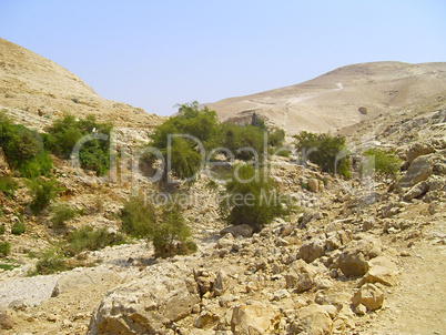 Israel sandstone desert landscape