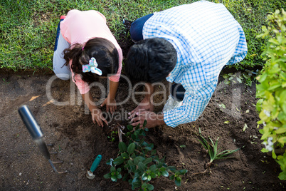 Father and daughter planting a tree in garden at backyard