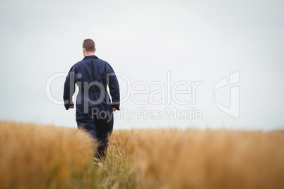 Rear view of farmer walking in the field