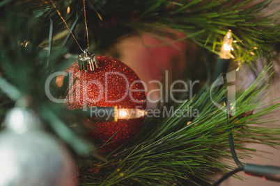 Close-up of christmas bauble hanging on christmas tree