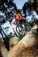 Male mountain biker riding bicycle in the forest