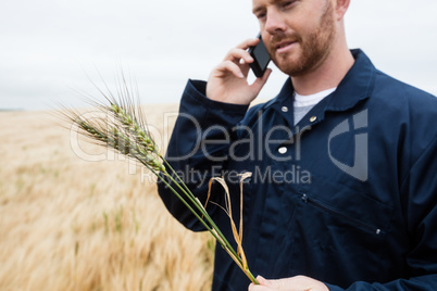 Farmer examining crops while talking on mobile phone in the field