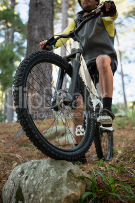 Male mountain biker riding bicycle in the forest