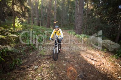 Male biker cycling in countryside