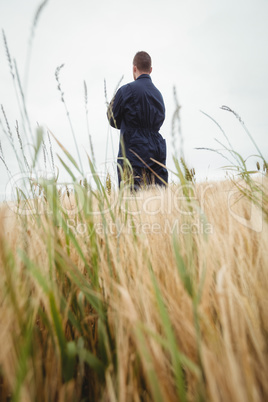 Rear view farmer standing with arms crossed in the field